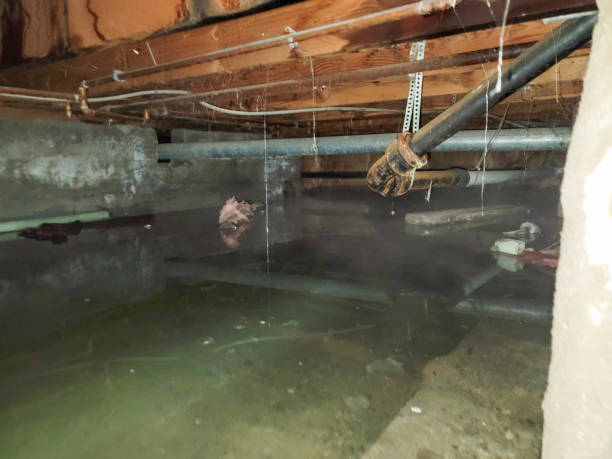 Trusted San Dimas, CA Water damage restoration Experts