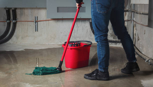 Best Flood restoration services  in San Dimas, CA