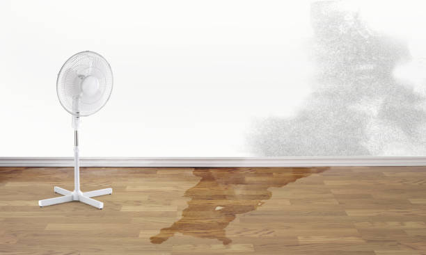 Best Commercial water damage restoration  in San Dimas, CA