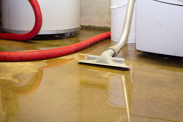 Best Flooded house restoration  in San Dimas, CA