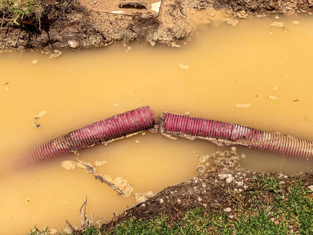 Professional Water damage restoration in San Dimas, CA