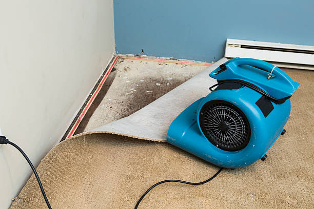 Best Basement water damage restoration  in San Dimas, CA